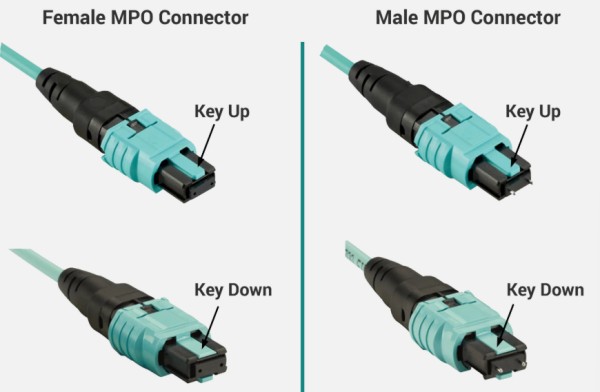 MPO Fiber Connector